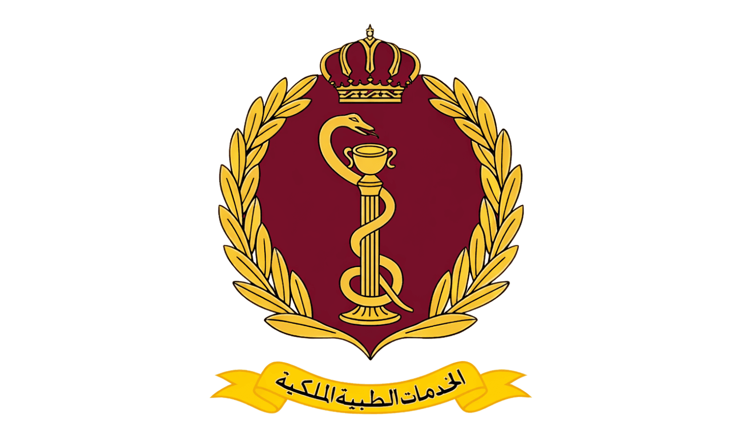 Jordanain Royal Medical Services.png